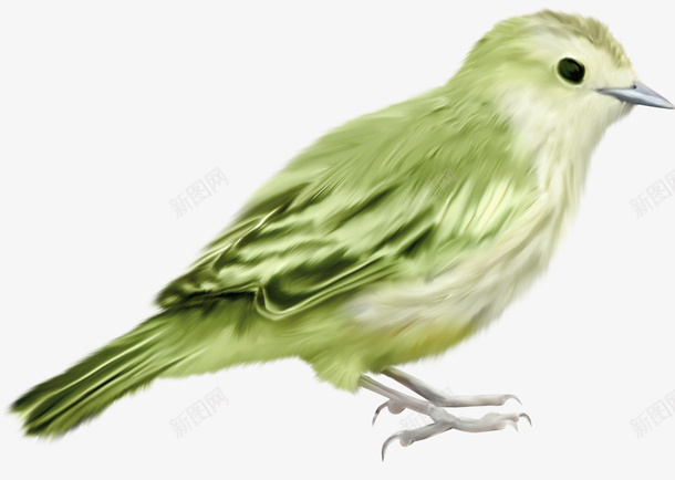 绿色鸟创意鸟png免抠素材_88icon https://88icon.com 免抠 创意鸟 素材 绿色 鸟