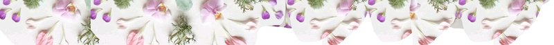 粘贴花朵纹理背景图psd设计背景_88icon https://88icon.com 清新 纹理 花朵 花瓣 质感 纹理温暖