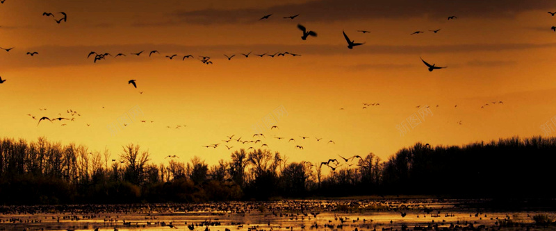 夕阳飞鸟景色jpg设计背景_88icon https://88icon.com 夕阳 飞鸟 回家 浪漫 彩霞 海报banner 摄影 风景