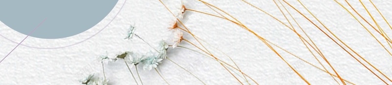 日系简洁秋季新品上市海报背景psdpsd设计背景_88icon https://88icon.com psd 新品上市 日系 时尚 海报背景 秋天 秋季 秋季新品 秋季新风尚 简洁