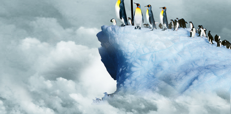 冰山上的企鹅H5背景psd设计背景_88icon https://88icon.com H5素材 PSD背景 云团 企鹅 冰山 创意 动物 大气 天空 寒冷 模型