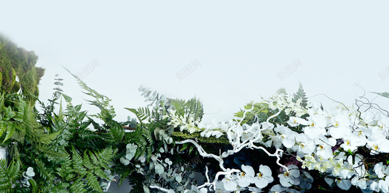 植物背景的H5图片jpg设计背景_88icon https://88icon.com h5背景 构成图片 构成 海报 花 H5 蓝色 植物