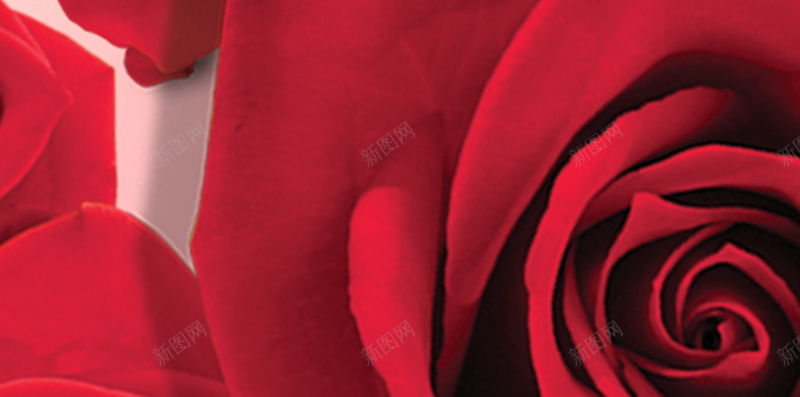 红色花卉H5背景jpg设计背景_88icon https://88icon.com H5 H5背景 h5 几何 扁平 渐变 炫酷 红色 花卉