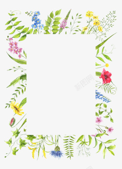 植物边框手绘植物花朵绿叶素材