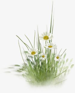 白色花朵手绘花丛装饰图案素材