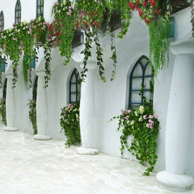 藤蔓和白色房子背景