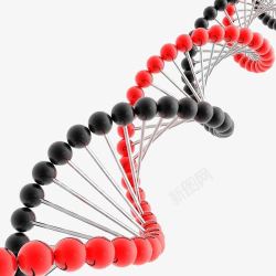 鍩哄洜阈红黑基因链高清图片