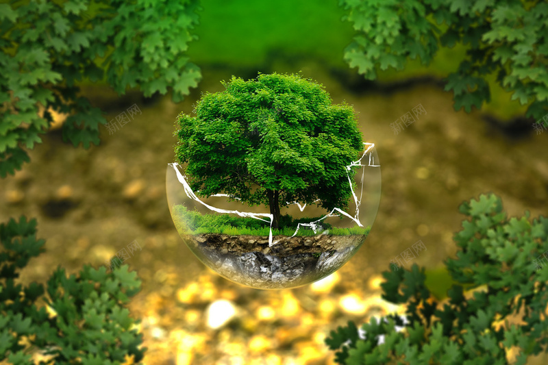玻璃球树木jpg设计背景_88icon https://88icon.com 环保 玻璃球 树木 绿色 开心 摄影 风景