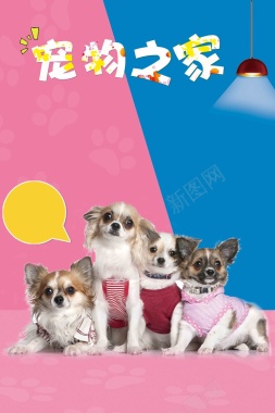 宠物之家宠物店猫狗卡通海报背景
