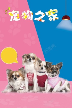 猫狗海报宠物之家宠物店猫狗卡通海报高清图片