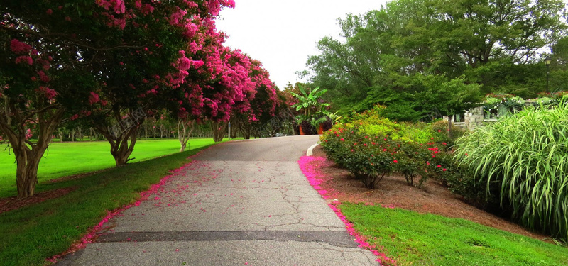 花间小路淘宝海报背景banner背景