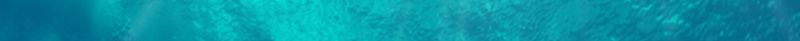 清凉海底化妆品海报psd设计背景_88icon https://88icon.com 化妆品 水滴 海底 海报 清凉 气泡 水泡 水 渐变 水蓝色