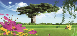 柳枝与草地自然风光美景图高清图片