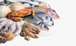 海鲜螃蟹鱼类素材