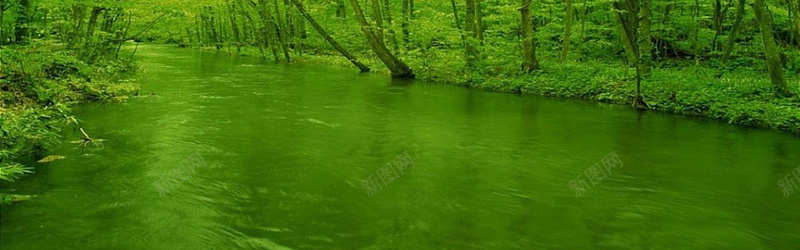 绿色河流背景背景