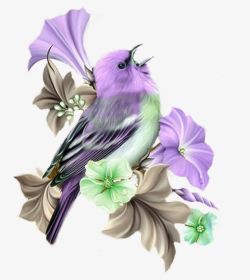紫色小鸟素材