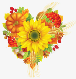 水果造型图片漂亮的爱心造型食物水果花朵装饰高清图片