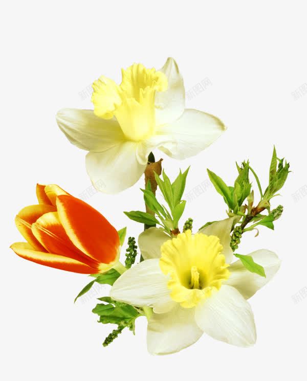 红色花朵黄色花朵树枝叶子png免抠素材_88icon https://88icon.com 叶子 树枝 红色 花朵 黄色