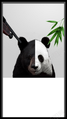 对着熊猫的枪H5素材背景背景