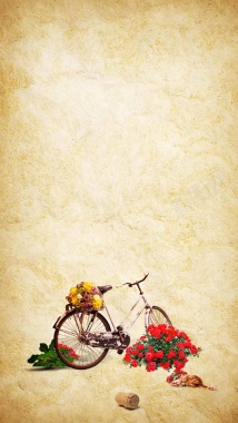 自行车猫咪玫瑰商业纹理H5背景背景