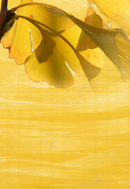 金黄色叶子海报壁纸背景