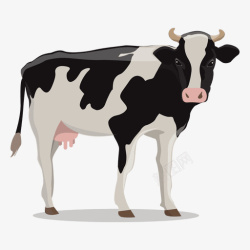 牛黑白可爱的先奶牛28高清图片