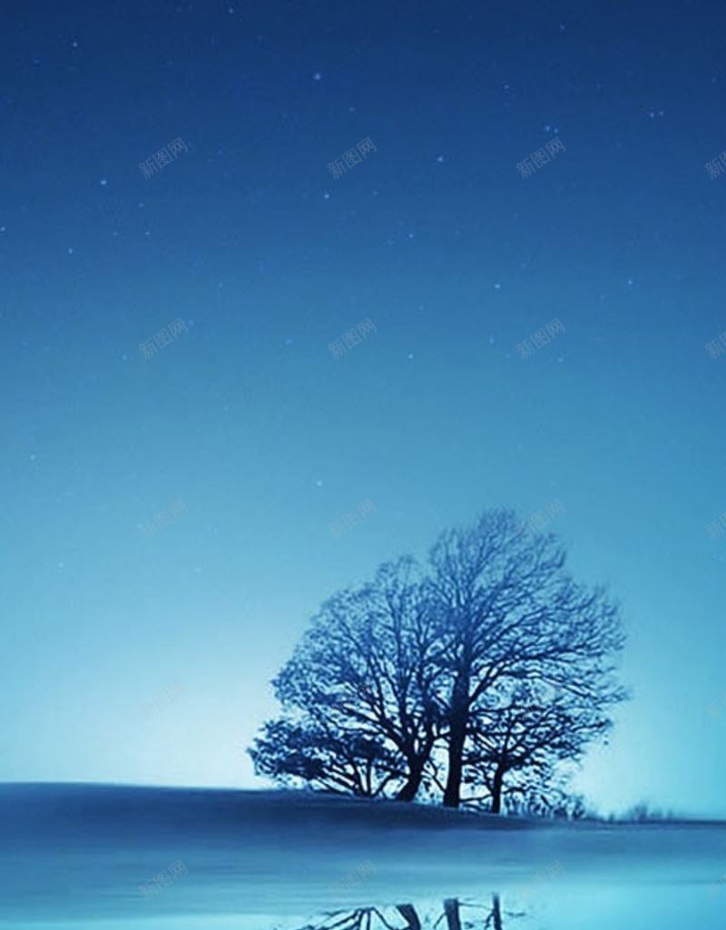 风景蓝色天空海面大树H5背景素材jpg设计背景_88icon https://88icon.com 风景 蓝色 天空 海面 大树 H5 摄影