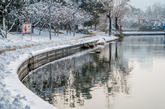 大雪后的天鹅湖公园里背景