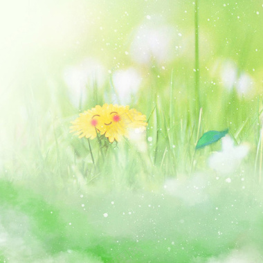 黄色花朵和青草淘宝主图背景背景