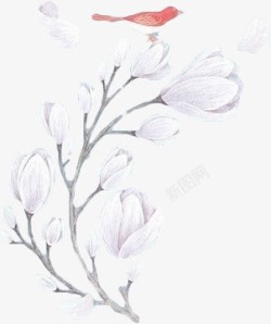 白色创意合成手绘花卉植物素材
