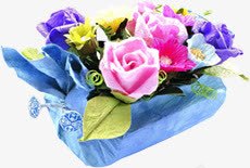 蓝色包装盛开花朵素材