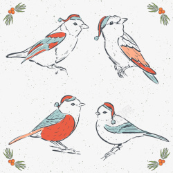 四只手绘冬季小鸟矢量图素材
