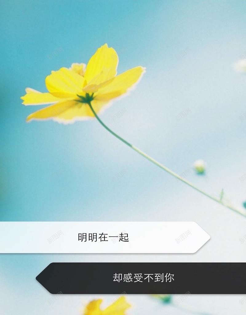 小清新鲜花H5背景jpg设计背景_88icon https://88icon.com H5 H5背景 h5 小清新 情书 文字控 文艺 有爱 爱情箴言 简约 花 锁屏