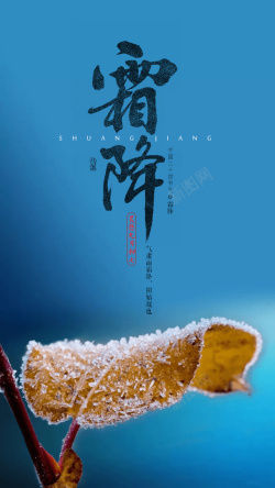 中国传统二十四节气霜降节气霜降节气高清图片