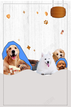 宠物之家开业了宠物之家宠物开业促销高清图片