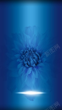 蓝色花朵梦幻化妆品H5背景背景
