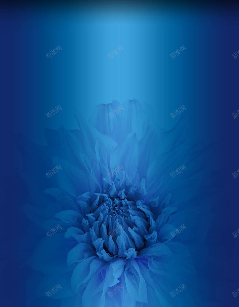蓝色花朵梦幻化妆品H5背景psd设计背景_88icon https://88icon.com H5背景 化妆品背景素材 梦幻 浪漫 花朵 蓝色