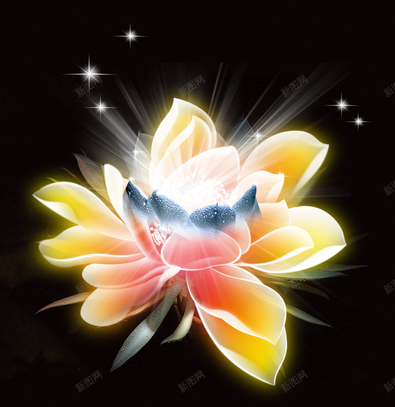 在花朵中绽放海报背景psd设计背景_88icon https://88icon.com psd分层素材 发光效果 在花朵中绽放的美女 星星效果 源文件 素材 美女 花瓣 荷花 菊花 透明花