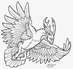 鹦鹉中国风插画手绘线条素材