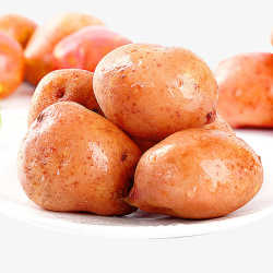 红皮土豆马铃薯素材