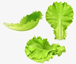 青菜海报元素素材