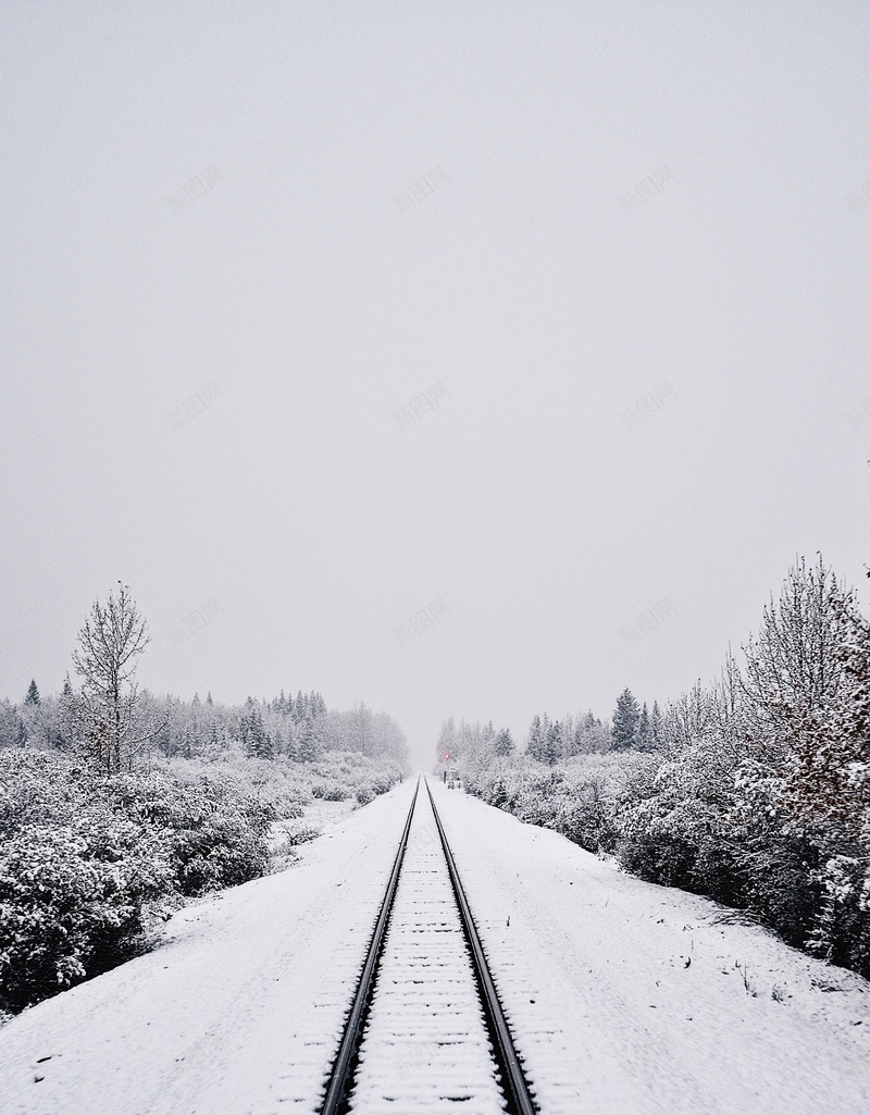 雪夜道路背景素材jpg设计背景_88icon https://88icon.com 寒冬 文艺 简约 道路 雪夜 PPT 冬季旅游 小清新