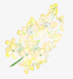 唯美清新森系手绘黄色花朵素材