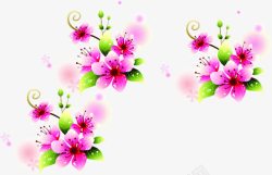 粉色手绘鲜花花朵植物节日素材