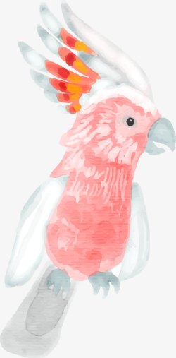 手绘粉色水彩鹦鹉素材