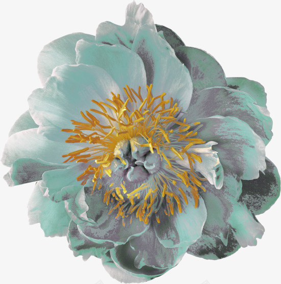 塑料蓝灰色花朵花卉花蕾png免抠素材_88icon https://88icon.com 产品实物 花卉 花蕾 蓝灰色花朵
