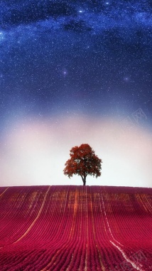 风景蓝色星空树H5背景素材背景