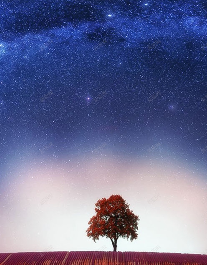 风景蓝色星空树H5背景素材jpg设计背景_88icon https://88icon.com H5 星空 星空素材 树 满天繁星 红花 蓝色 风景 风景素材 风景蓝色
