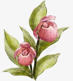 手绘粉色花卉印象风格素材