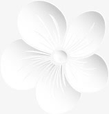 白色创意手绘花朵唯美素材